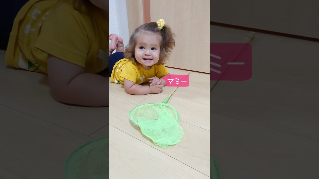 ナナフシを捕獲！バイリンガル姉妹