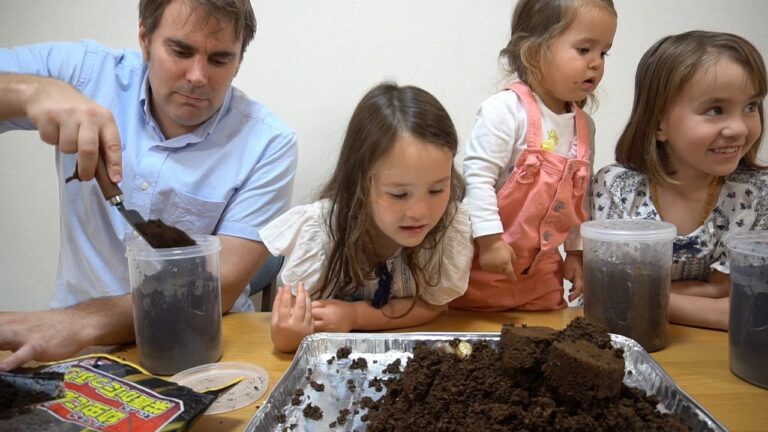 ダディみたいに毛深いカブトムシの幼虫？バイリンガル姉妹