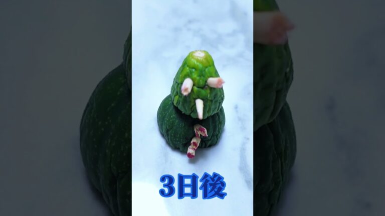 きゅうりくんの不思議な変貌: 10日間の旅