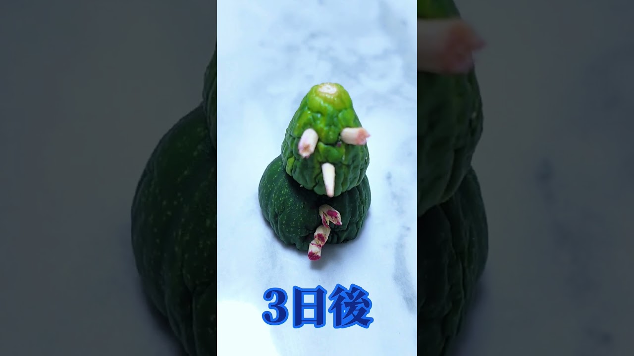 きゅうりくんの不思議な変貌: 10日間の旅