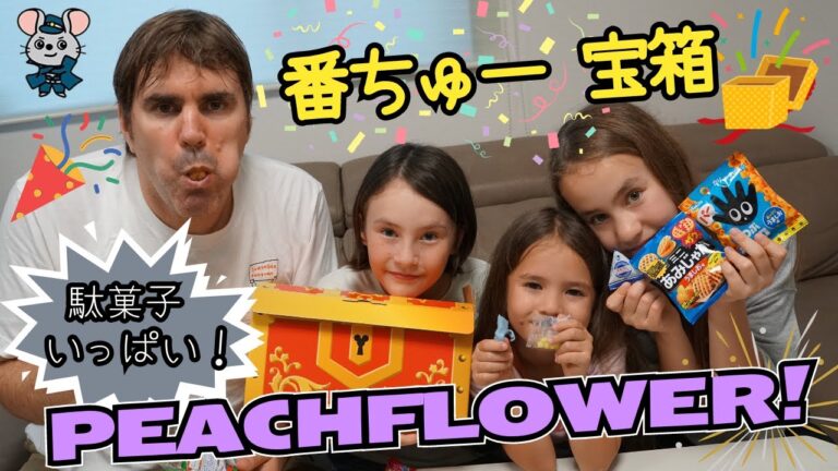 番ちゅー宝箱で駄菓子パーティ！美味しさ満点の詰め合わせ