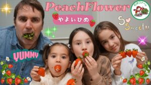 群馬県【松井ファーム】の絶品いちご『やよいひめ』を外国人ダディ＆バイリンガル三姉妹が試食！驚きの味わい！