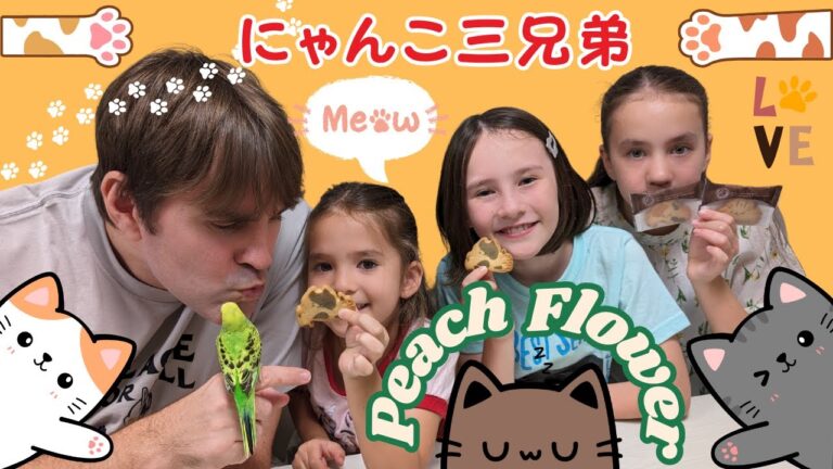 にゃんこクッキーを食べてみた！外国人ダディとバイリンガル三姉妹が挑戦【かわいいけど味はどう？】にゃんこ三兄弟