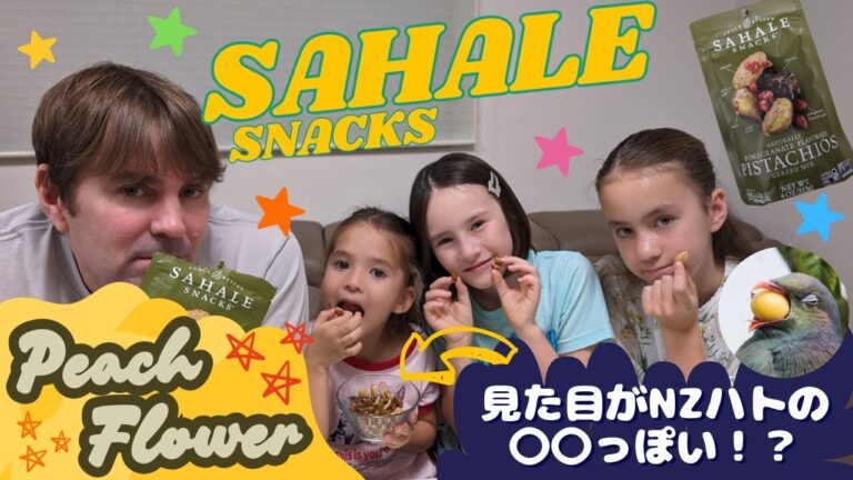 【アメリカのお土産】ザクロ風味ピスタチオのサハレスナックを食べてみた！外国人ダディとバイリンガル三姉妹の感想は？
